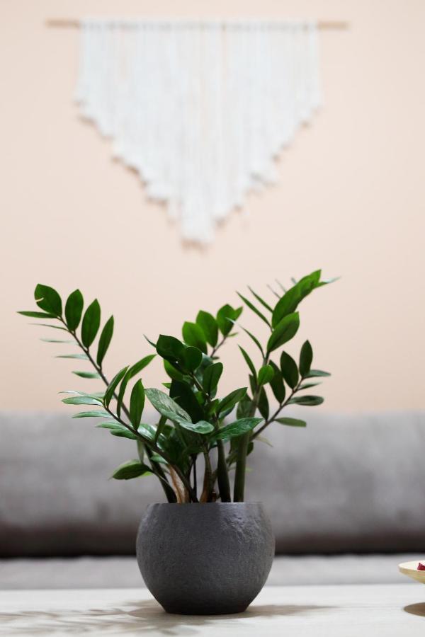 Ipelhome - Athens Heart Apartments エクステリア 写真
